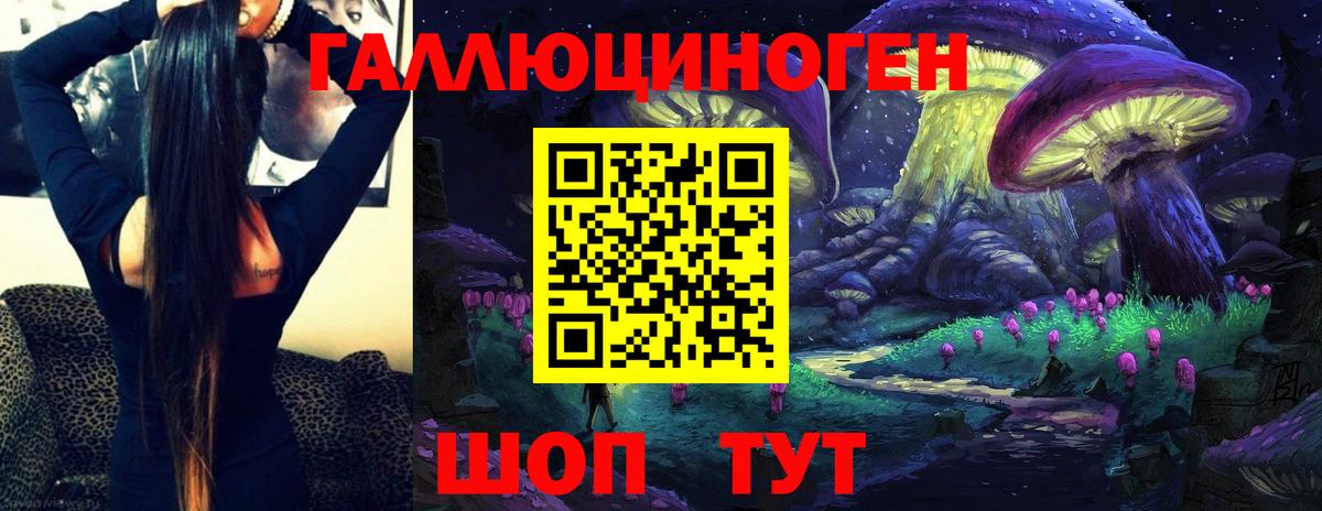Галлюциногенные грибы Psilocybine cubensis Елабуга