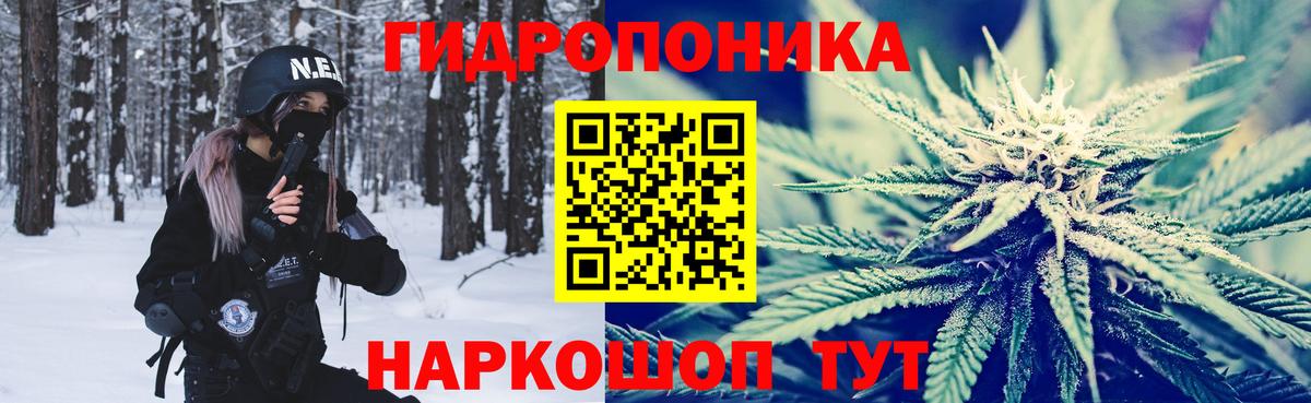 Бошки Шишки ГИДРОПОН Елабуга